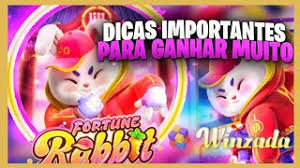 horarios do rabbit